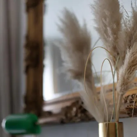 Villa Kristina - Swimming Pool, - Istra *